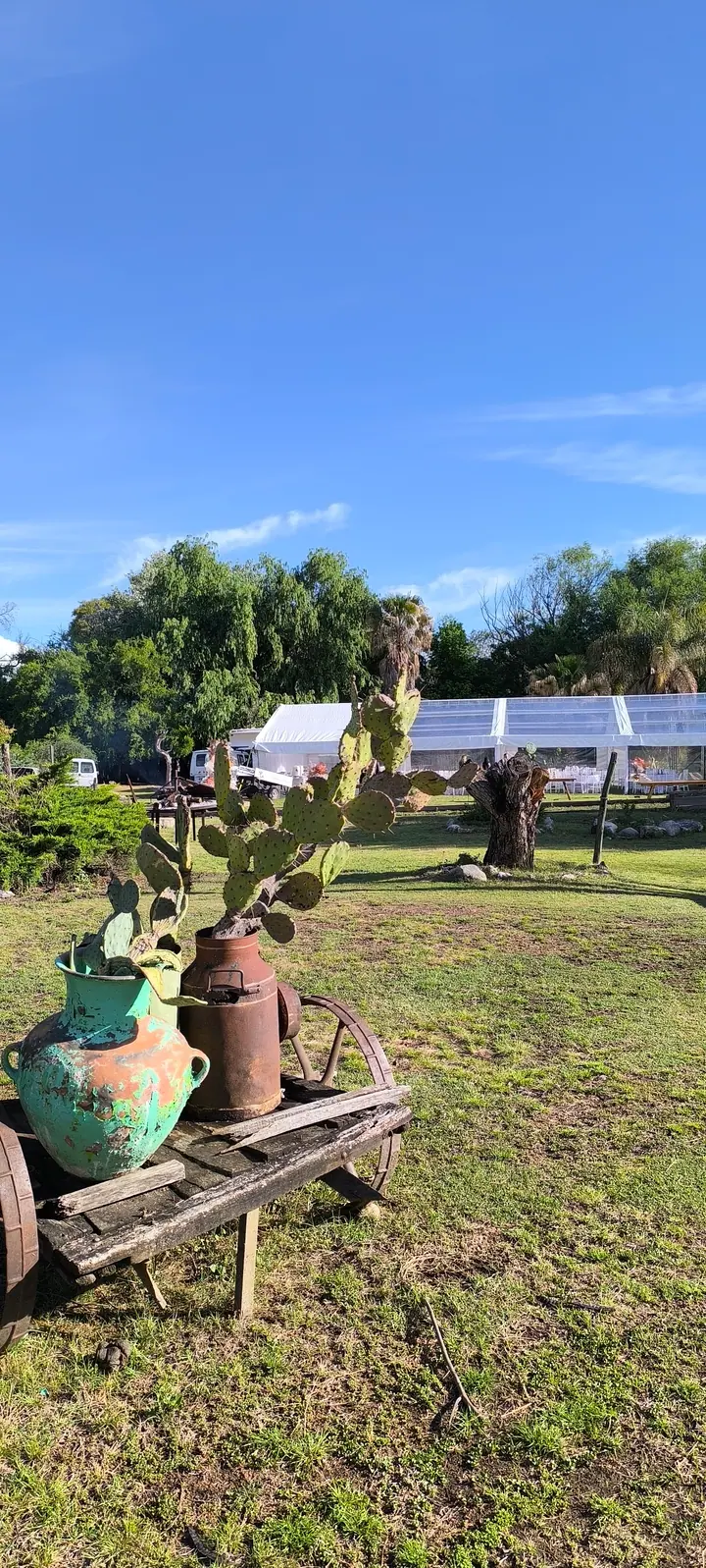 Celebración informal en un entorno verde al aire libre